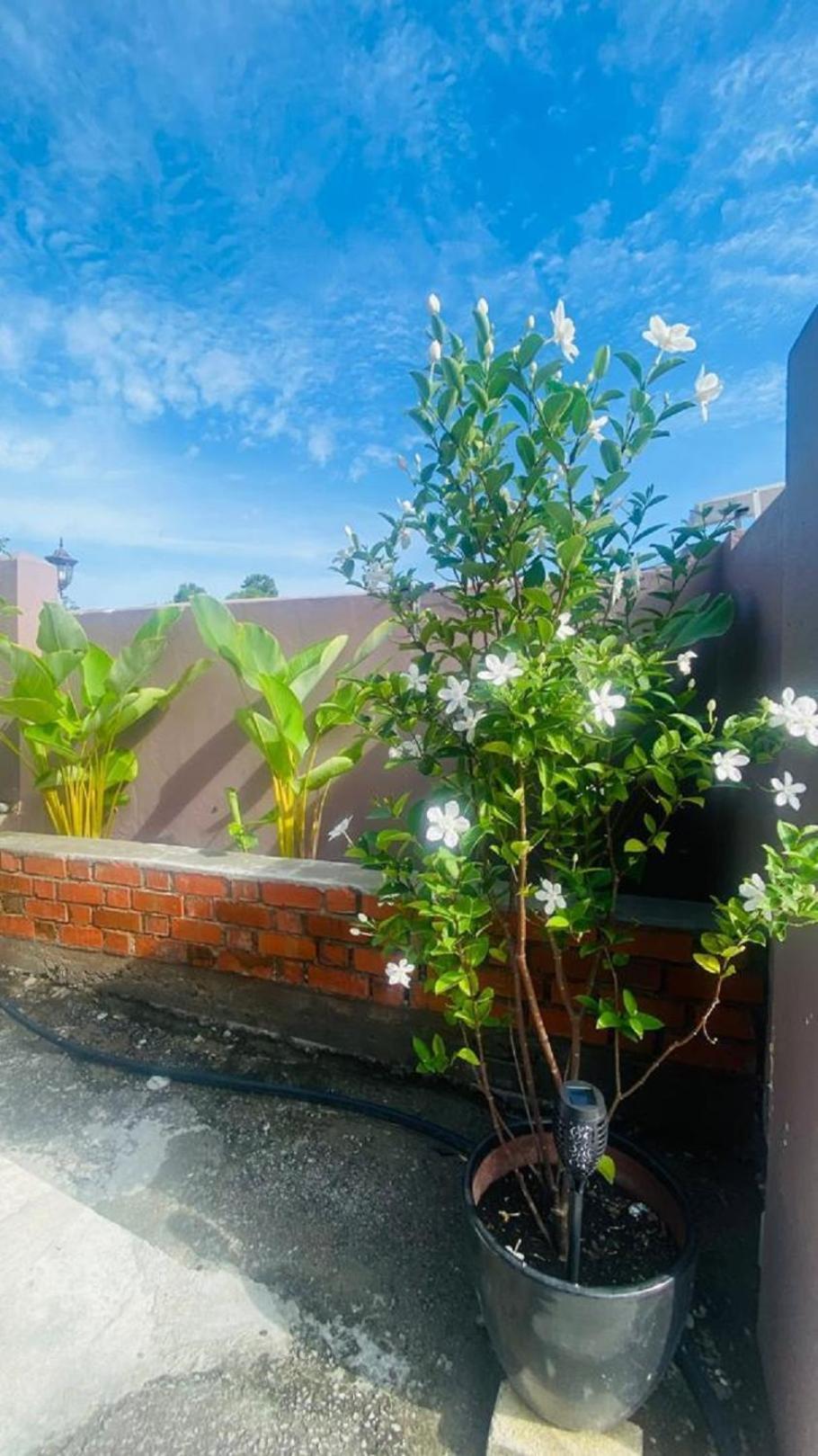 Motel Seri Mutiara Kuah Ngoại thất bức ảnh